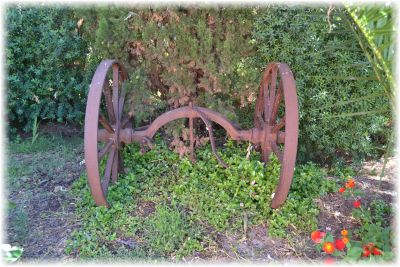 Il nostro giardino